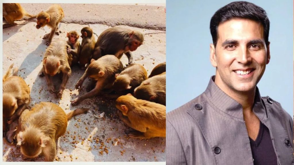 Akshay Kumar ने अयोध्या में बंदरों की देखभाल के लिए अंजनेया सेवा ट्रस्ट को दान किया करोड़ों रुपये
